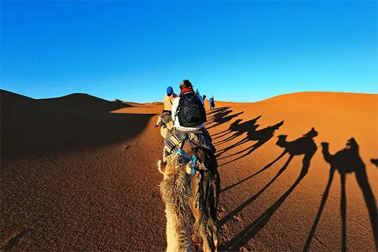 Поездка на верблюдах