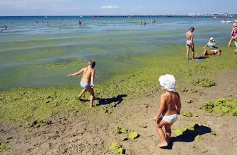 Цветет ли море в Витязево