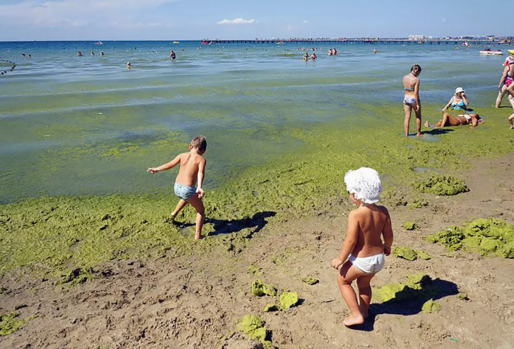 Цветет ли море в Витязево