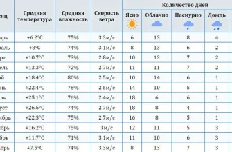 Погода в Абхазии по месяцам