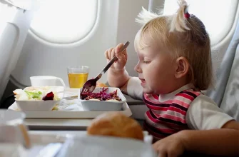 Еда в ручной клади в самолете: что можно брать, а что нет