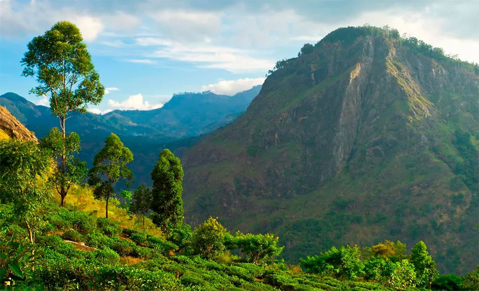 Шри-Ланка: достопримечательности и интересные места - Гора Элла