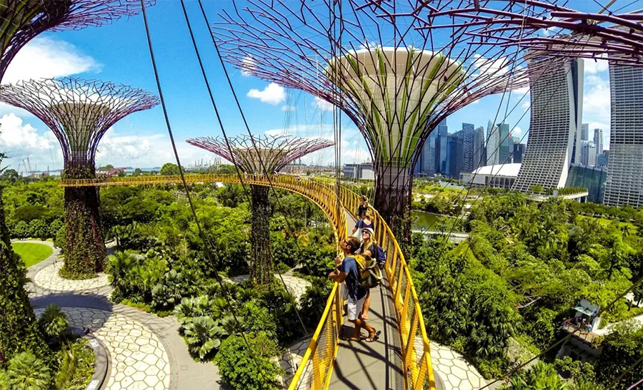 Достопримечательности Сингапура - Парк Сады у залива