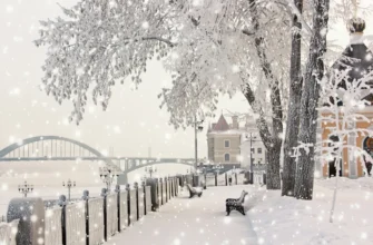 Групповая обзорная экскурсия по Рыбинску