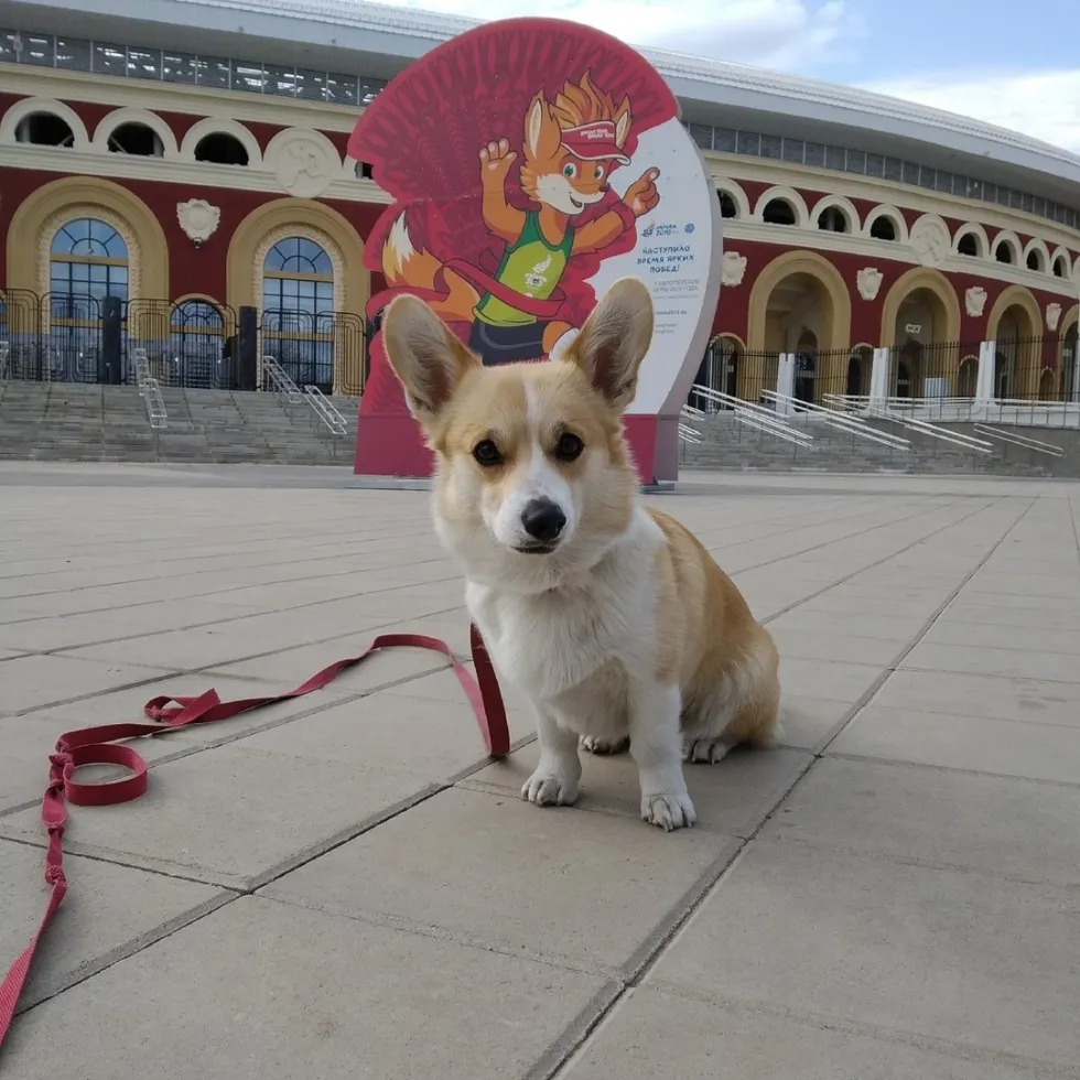 Пешеходная экскурсия по Минску в мини-группе