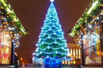 Воронеж — родина Нового года: пешеходная прогулка