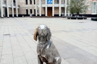 Семейная индивидуальная экскурсия «Воронеж для детей и их родителей»