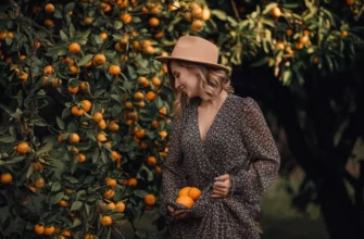 Эксклюзив джип-тур: «Зимняя сказка на озере Рица и Мандариновый сад»