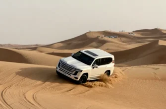 Пустынное Сафари в Дубае с ужином, шоу и катанием на верблюдах