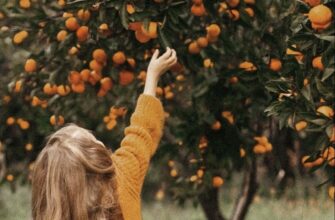 Восточная Апсны: Сухум, термальный источник Кындык и мандариновый сад🍊