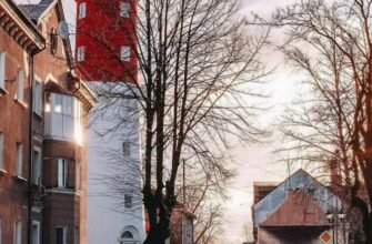 По морским городам: Светлогорск, Балтийск, Янтарный и Филинская бухта