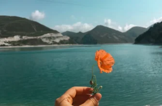 Жемчужины Чечни за 1 день в мини-группе: Кезеной-Ам, село Хой, Шали и Аргун