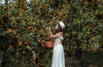 Гранд-тур Абхазия: Гагра, Мандариновый сад, Рица и Новый Афон