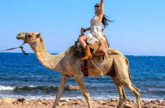 Дискавери 5 в 1: Дахаб, Каньон, верблюды, купание и квадроциклы