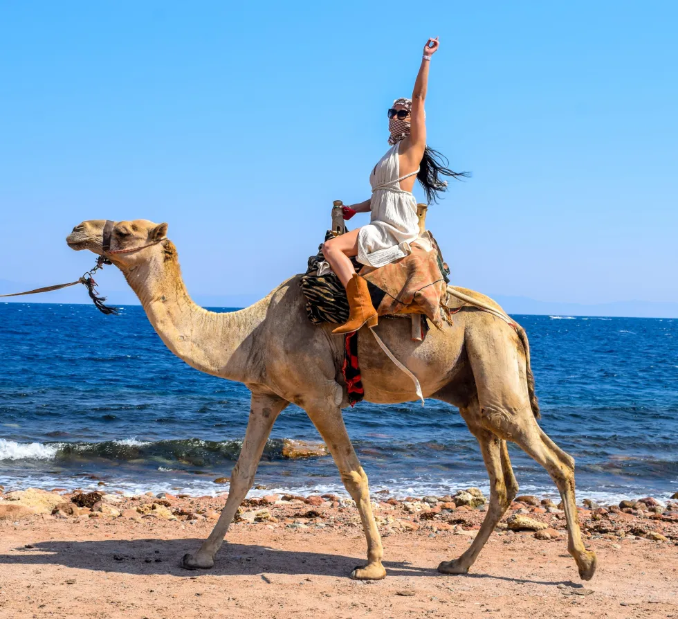 Дискавери 5 в 1: Дахаб, Каньон, верблюды, купание и квадроциклы