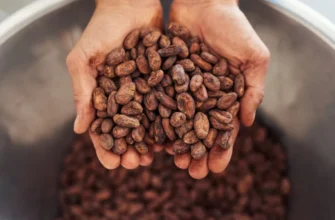 Путь какао от боба до шоколадной плитки: шоколадная фабрика Frais