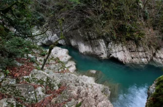 Веселый джиппинг в Солох-аул: Ведьмина гора, самшиты, источник и водопады