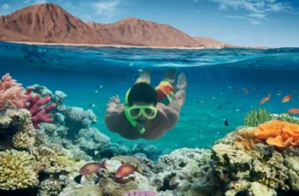 Наземные и подводные красоты заповедника Рас-Мохаммед +обед море продуктов