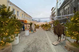 Калуга — любовь с первого взгляда