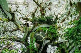 Лес под куполом: входной билет в оранжерею The Green Planet