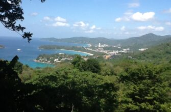 Весь Пхукет за 1 день: обезьяны, слоны, тигры и крокодилы