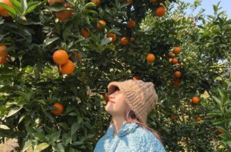 Джип-тур Абхазия: Гагра, Мандариновый сад, озеро Рица и Гегский водопад!