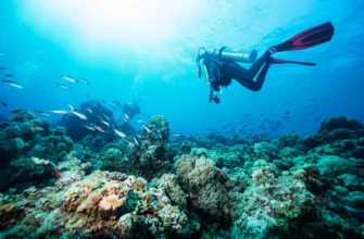 Дайвинг в заповедной зоне Большого Утриша
