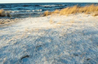 Куршская коса и дюна Эфа