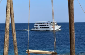 День и ужин в модном пространстве Заповедника Рас-Мохаммед