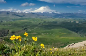 Легендарный Бермамыт в мини-группе