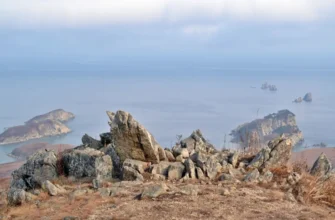 Морской заповедник Гамова: изумрудное море и краснокнижные японские сосны