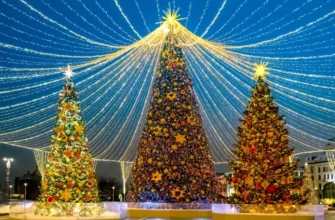 Главные ёлки центра столицы — пешеходная экскурсия по новогодней Москве