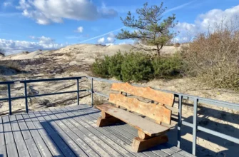 Куршская коса: от Танцующего леса до дюны Эфа