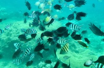 ТОТ САМЫЙ МОРСКОЙ ХИТ! 5 райских островов • Рыбалка • Снорклинг • Бар