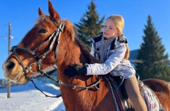 Конная прогулка по окрестностям Суздаля