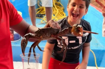 Ловля крабов на лодке и вкусный ужин на берегу океана