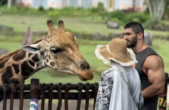 Сафари на джипе по парку Bali Safari and Marine park