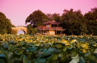 Из Шанхая в Ханчжоу — китайский рай на Земле