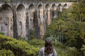 Элла и Удавалава слоновый питомник: однодневная экскурсия