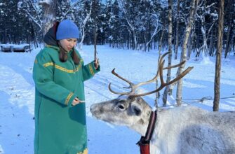 В гости к Саами - деревня Самь-Сыйт