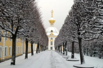 В Петергоф с профессиональным краеведом на комфортабельном автомобиле