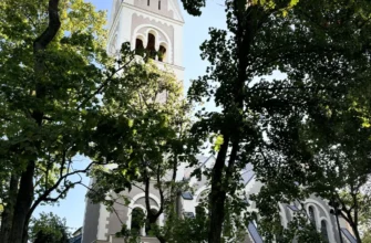 Амалиенау и Светлогорск: город-сад и город-лес