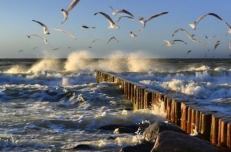 Брызги Балтики: Зеленоградск и Куршская коса