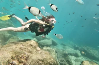 Дайвинг в Кемере/Кириш из Антальи