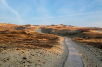 Танцующий лес и поющие пески: на Куршскую косу в мини-группе