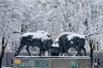 Город с непростой историей: обзорная по Калининграду из Зеленоградска
