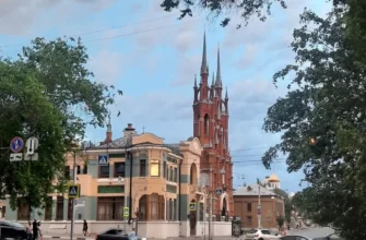 Цветы Самарского модерна