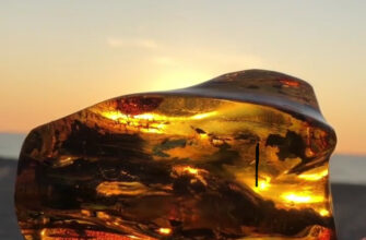 Из Зеленоградска в Балтийск, Янтарный и Светлогорск в мини-группе