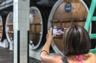 Ода виноградной лозе: Массандра и Музей виноделия