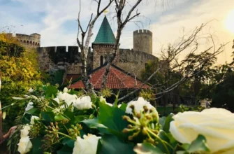 Добро пожаловать в Белград!